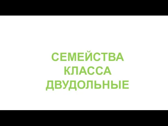 СЕМЕЙСТВА КЛАССА ДВУДОЛЬНЫЕ