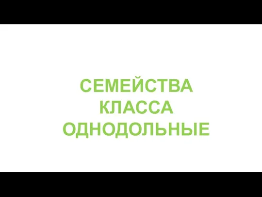 СЕМЕЙСТВА КЛАССА ОДНОДОЛЬНЫЕ