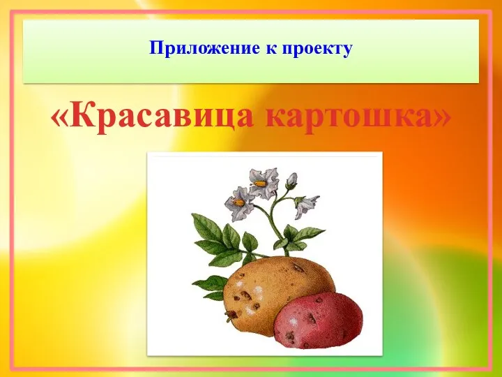 Приложение к проекту «Красавица картошка»