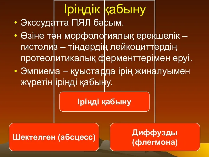 Іріңдік қабыну Экссудатта ПЯЛ басым. Өзіне тән морфологиялық ерекшелік –