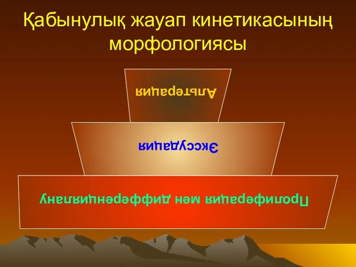 Қабынулық жауап кинетикасының морфологиясы