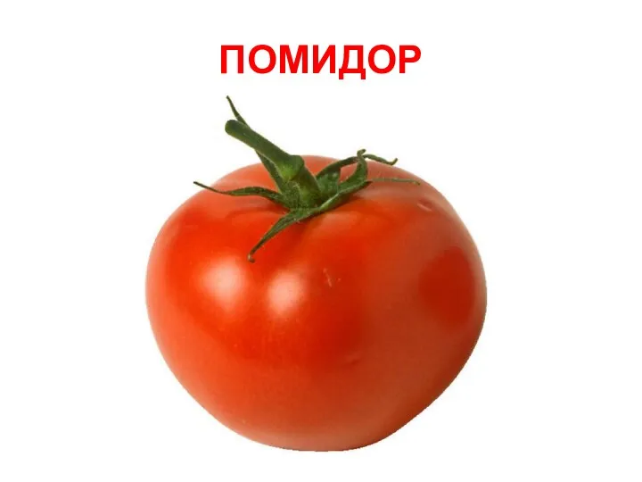 ПОМИДОР