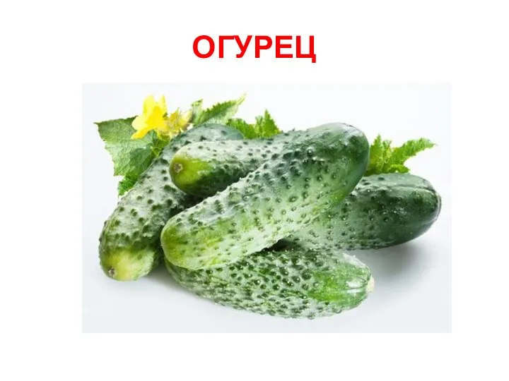 ОГУРЕЦ