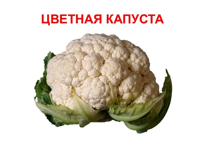 ЦВЕТНАЯ КАПУСТА