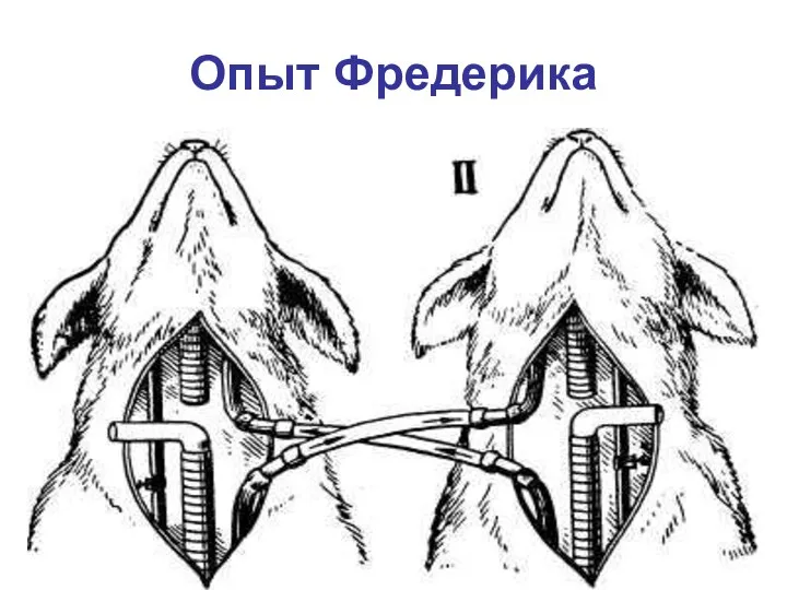 Опыт Фредерика