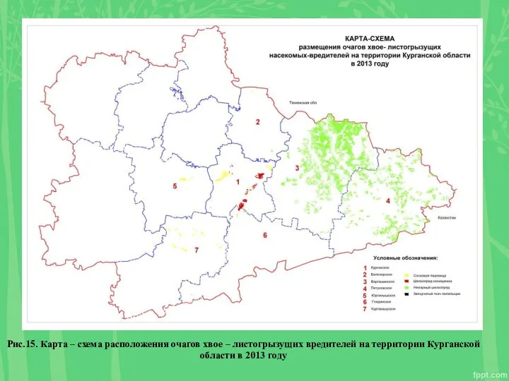 Рис.15. Карта – схема расположения очагов хвое – листогрызущих вредителей