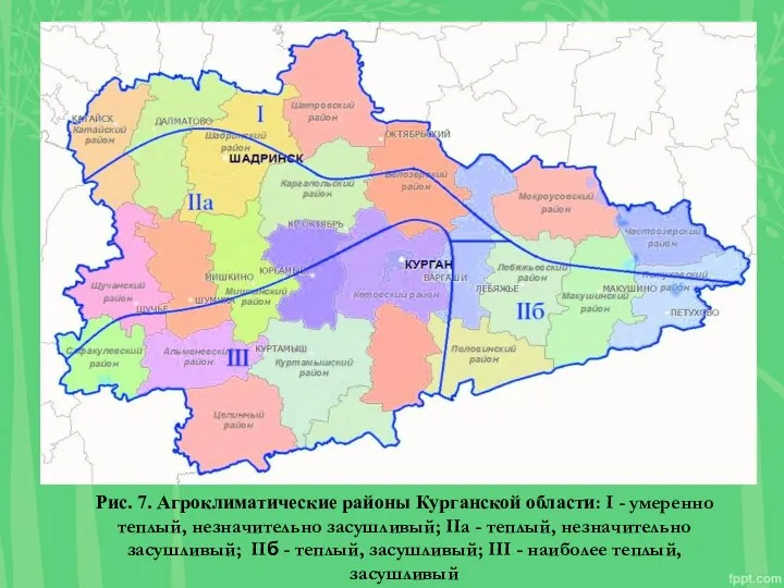 Рис. 7. Агроклиматические районы Курганской области: I - умеренно теплый,