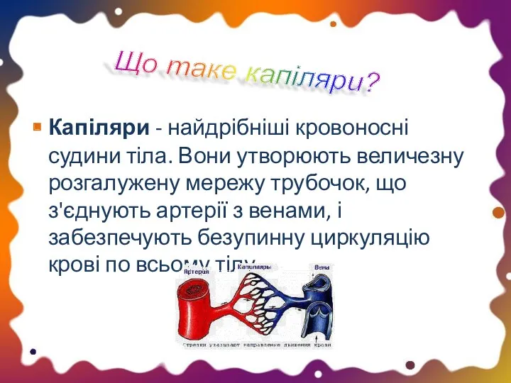 Капіляри - найдрібніші кровоносні судини тіла. Вони утворюють величезну розгалужену