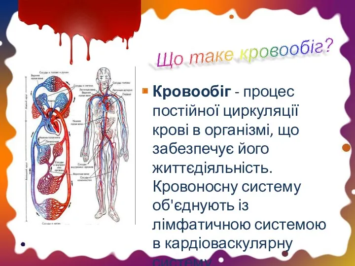 Кровообіг - процес постійної циркуляції крові в організмі, що забезпечує