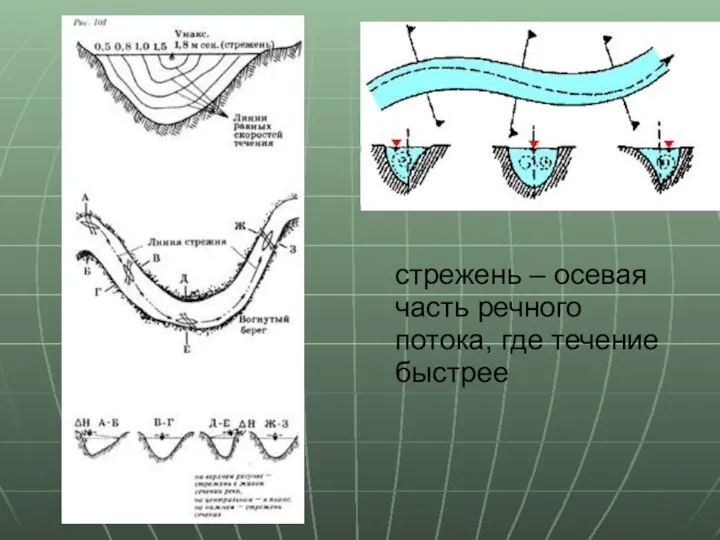 стрежень – осевая часть речного потока, где течение быстрее