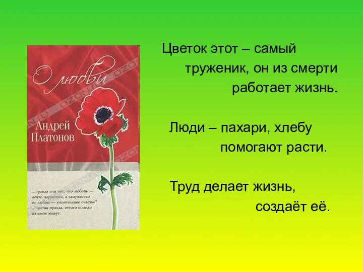 Цветок этот – самый труженик, он из смерти работает жизнь. Люди – пахари,