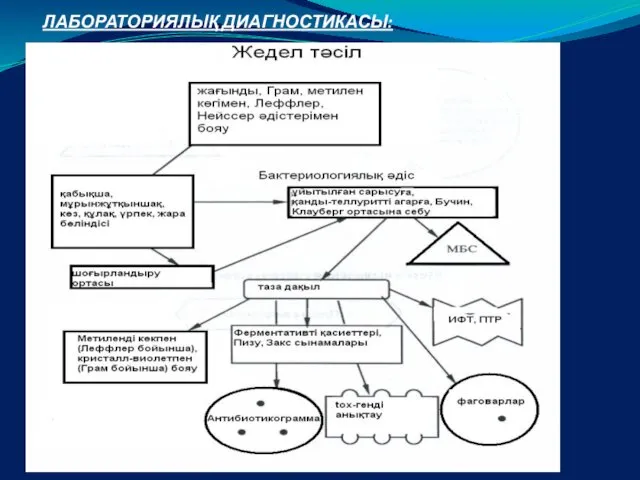 ЛАБОРАТОРИЯЛЫҚ ДИАГНОСТИКАСЫ: