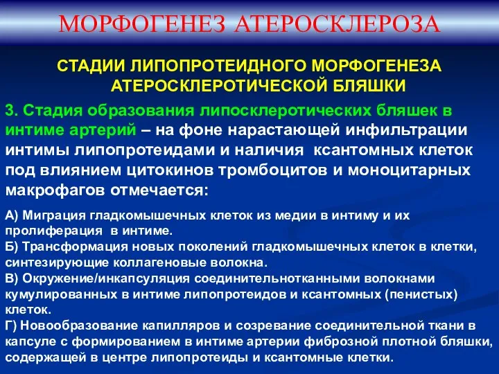 МОРФОГЕНЕЗ АТЕРОСКЛЕРОЗА 3. Стадия образования липосклеротических бляшек в интиме артерий