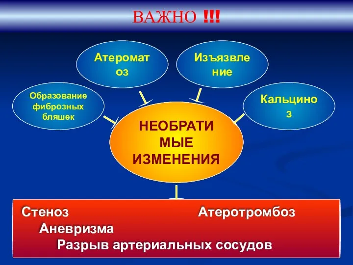 ВАЖНО !!! Образование фиброзных бляшек Атероматоз Изъязвление Кальциноз НЕОБРАТИМЫЕ ИЗМЕНЕНИЯ Стеноз Атеротромбоз Аневризма Разрыв артериальных сосудов