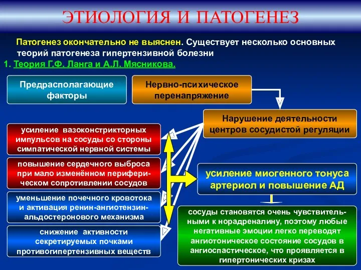 Патогенез окончательно не выяснен. Существует несколько основных теорий патогенеза гипертензивной