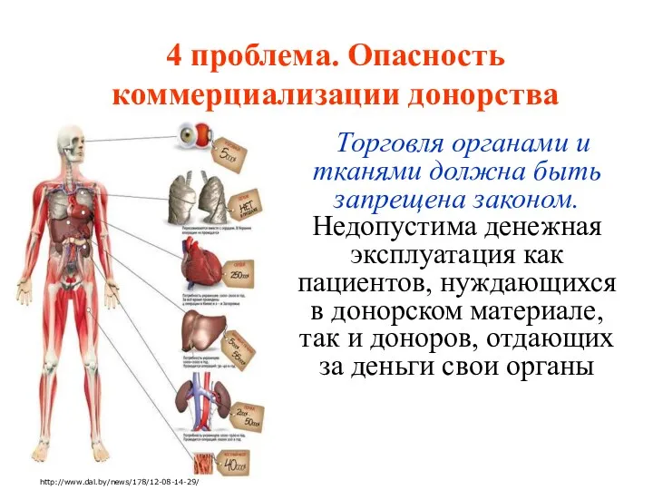 4 проблема. Опасность коммерциализации донорства Торговля органами и тканями должна