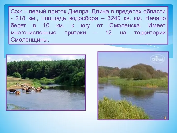 Сож – левый приток Днепра. Длина в пределах области - 218 км., площадь