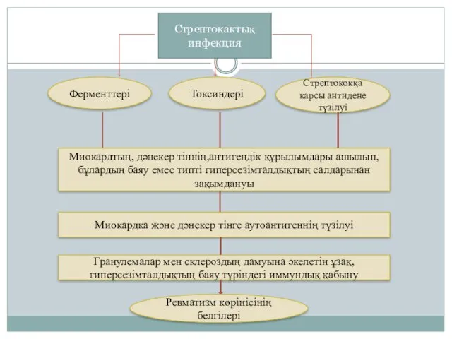 Стрептокактық инфекция Ферменттері Токсиндері Стрептококқа қарсы антидене түзілуі Миокардтың, дәнекер