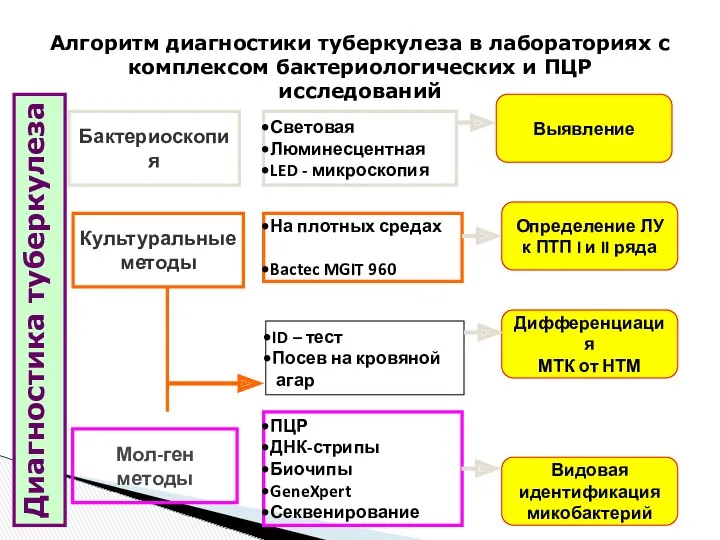 Алгоритм диагностики туберкулеза в лабораториях с комплексом бактериологических и ПЦР исследований Диагностика туберкулеза