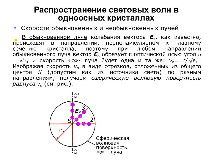 Распространение световых волн в одноосных кристаллах Скорости обыкновенных и необыкновенных