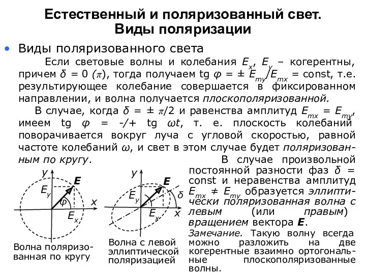 Естественный и поляризованный свет. Виды поляризации Виды поляризованного света Если