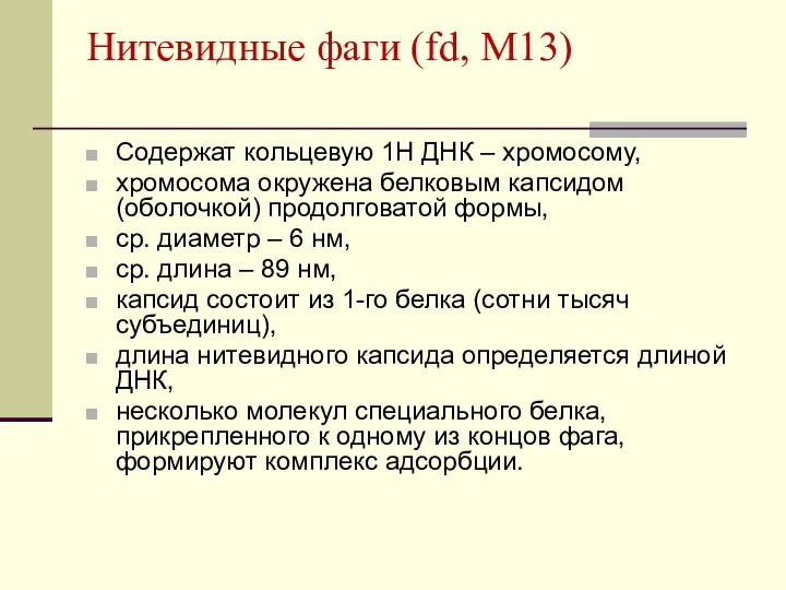 Нитевидные фаги (fd, M13) Содержат кольцевую 1Н ДНК – хромосому, хромосома окружена белковым