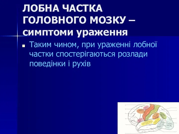 ЛОБНА ЧАСТКА ГОЛОВНОГО МОЗКУ – симптоми ураження Таким чином, при