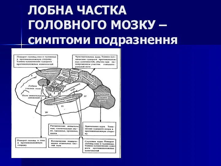 ЛОБНА ЧАСТКА ГОЛОВНОГО МОЗКУ – симптоми подразнення