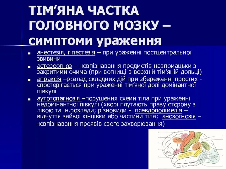 ТІМ’ЯНА ЧАСТКА ГОЛОВНОГО МОЗКУ – симптоми ураження анестезія, гіпестезія –