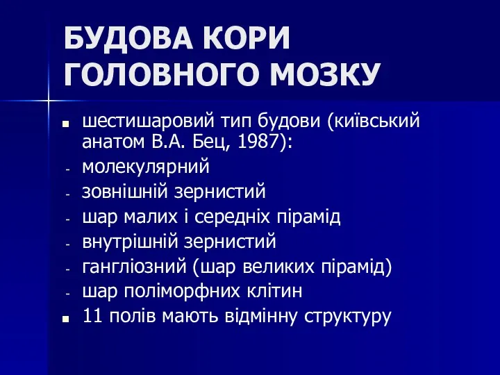 БУДОВА КОРИ ГОЛОВНОГО МОЗКУ шестишаровий тип будови (київський анатом В.А.