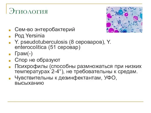 Этиология Сем-во энтеробактерий Род Yersinia Y. pseudotuberculosis (8 сероваров), Y.