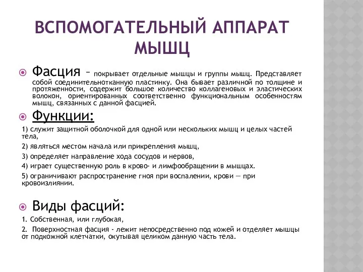 ВСПОМОГАТЕЛЬНЫЙ АППАРАТ МЫШЦ Фасция – покрывает отдельные мышцы и группы