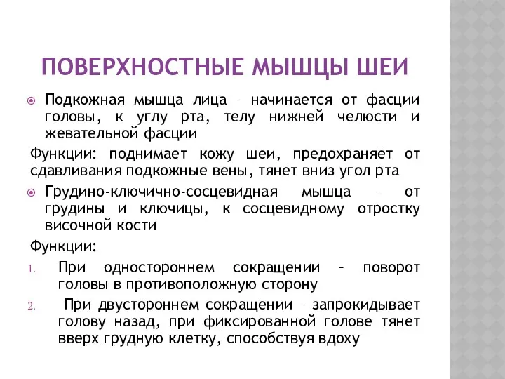 ПОВЕРХНОСТНЫЕ МЫШЦЫ ШЕИ Подкожная мышца лица – начинается от фасции