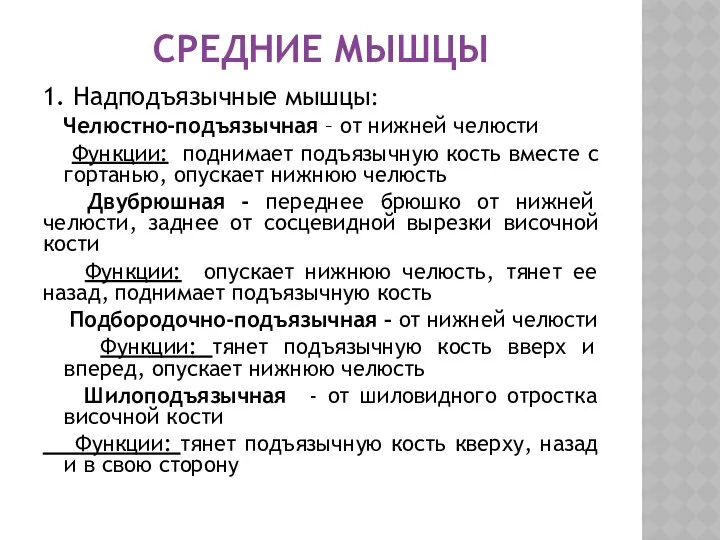 СРЕДНИЕ МЫШЦЫ 1. Надподъязычные мышцы: Челюстно-подъязычная – от нижней челюсти