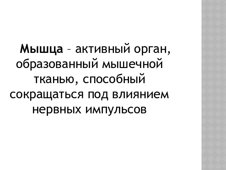 Мышца – активный орган, образованный мышечной тканью, способный сокращаться под влиянием нервных импульсов