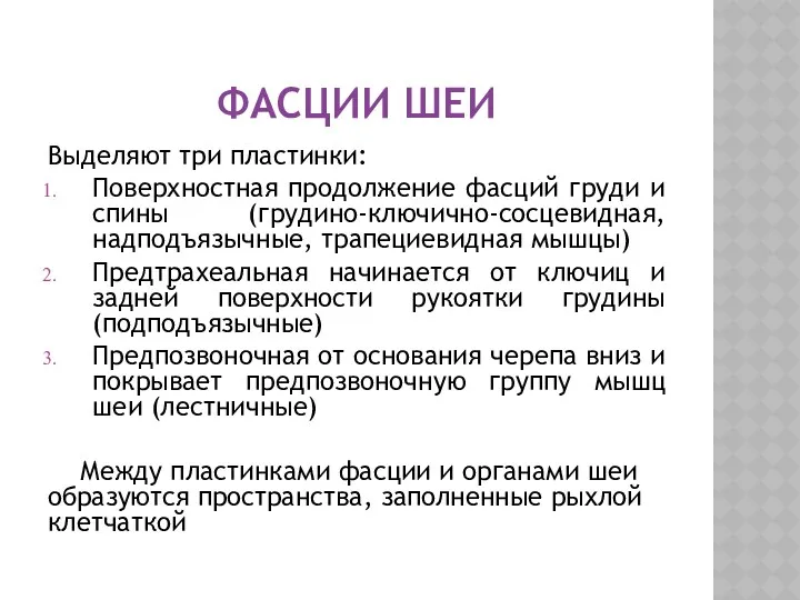 ФАСЦИИ ШЕИ Выделяют три пластинки: Поверхностная продолжение фасций груди и