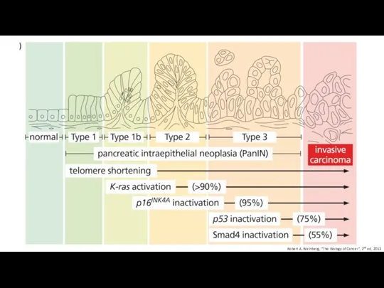 Robert A. Weinberg, “The Biology of Cancer”, 2nd ed, 2013