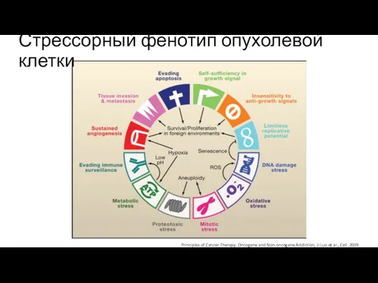 Ключевые признаки рака Principles of Cancer Therapy: Oncogene and Non-oncogene