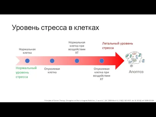 Уровень стресса в клетках Principles of Cancer Therapy: Oncogene and