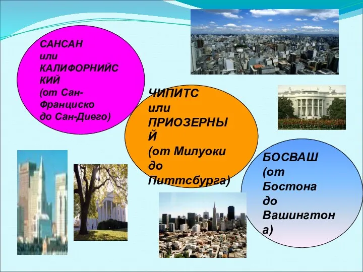 САНСАН или КАЛИФОРНИЙСКИЙ (от Сан-Франциско до Сан-Диего) ЧИПИТС или ПРИОЗЕРНЫЙ