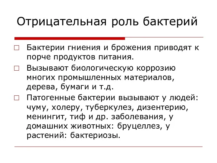 Отрицательная роль бактерий Бактерии гниения и брожения приводят к порче