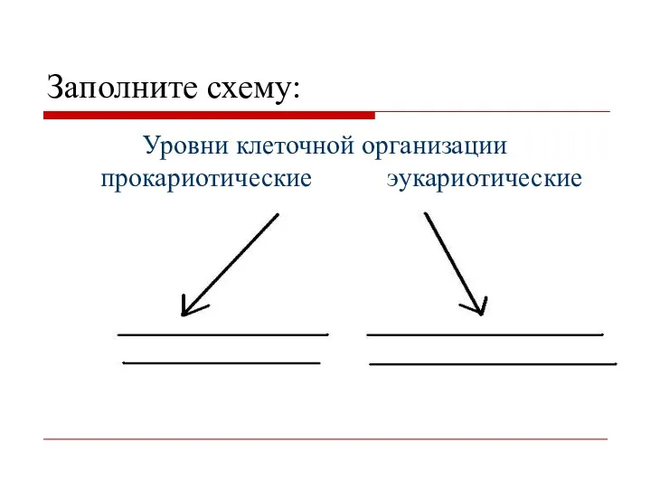 Заполните схему: Уровни клеточной организации прокариотические эукариотические