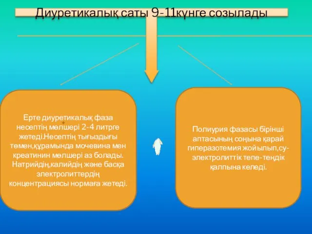 Ерте диуретикалық фаза несептің мөлшері 2-4 литрге жетеді.Несептің тығыздығы төмен,құрамында