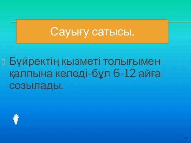 13 Бүйректің қызметі толығымен қалпына келеді-бұл 6-12 айға созылады. Сауығу сатысы.