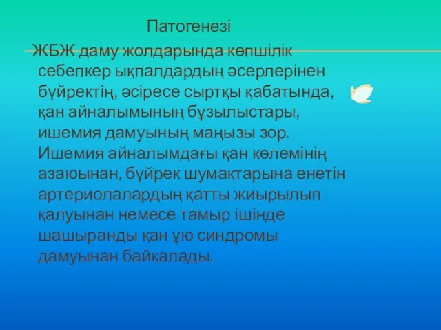 Патогенезі ЖБЖ даму жолдарында көпшілік себепкер ықпалдардың әсерлерінен бүйректің, әсіресе