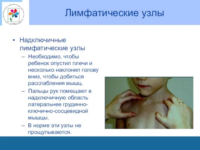 Лимфатические узлы Надключичные лимфатические узлы Необходимо, чтобы ребенок опустил плечи