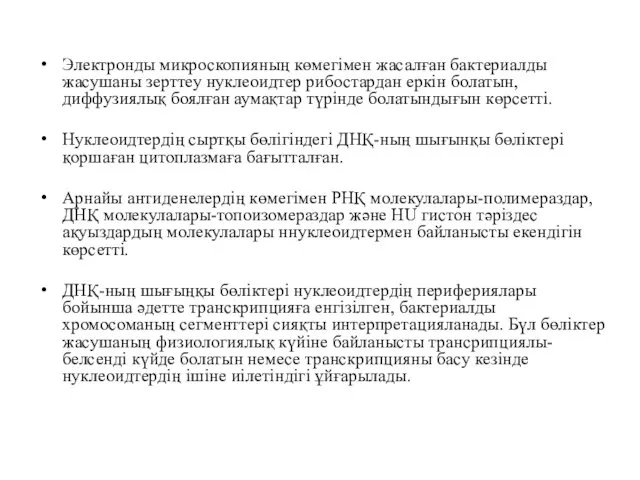 Электронды микроскопияның көмегімен жасалған бактериалды жасушаны зерттеу нуклеоидтер рибостардан еркін