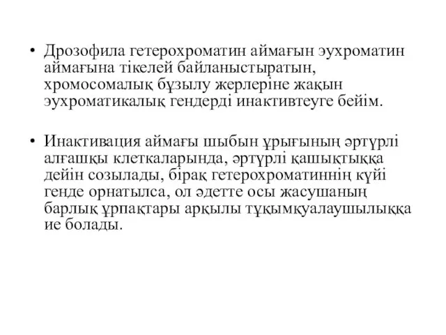 Дрозофила гетерохроматин аймағын эухроматин аймағына тікелей байланыстыратын, хромосомалық бұзылу жерлеріне