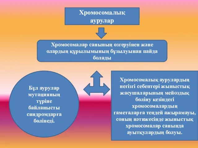 Хромосомалық аурулар Хромосомалар санының өзгеруінен және олардың құрылымының бұзылуынан пайда