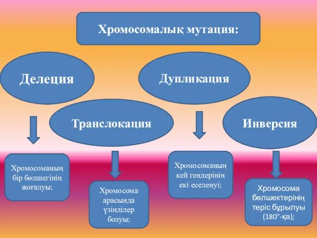 Хромосомалық мутация: Делеция Транслокация Дупликация Инверсия Хромосоманың бір бөлшегінің жоғалуы;